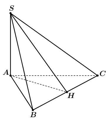 Ta có \[\left\{ \begin{array}{l}SA (ảnh 1)