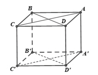 Đ&aacute;p &aacute;n đ&uacute;ng l&agrave;: A (ảnh 1)