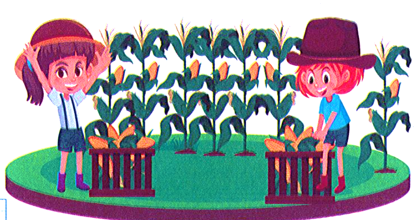 Hai chị em Liên và Linh cùng nhau giúp mẹ bẻ ngô. Chị Liên bẻ được 9 bắp ngô, em Linh bẻ được 1 chục bắp. Hỏi cả hai chị em bẻ được bao nhiêu bắp ngô? (1 điểm) Phép tính: Trả lời: Cả hai chị em bẻ được tất cả ………. bắp ngô. (ảnh 1)