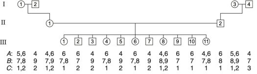 Ở người, ba locus STR A, B và C cùng nằm trên cánh dài của một nhiễm sắc thể theo thứ tự tâm động  – A – B – C – đầu mút. A cách B 0,36 Mb (triệu cặp base), B cách C 0,64 Mb. Trong phả hệ dưới đây, các allele của các locus STR của mỗi người (ảnh 1)
