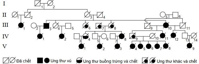 Phả hệ dưới đây cho thấy kiểu di truyền các ca bệnh ung thư ở một gia đình. Các xét nghiệm phân tử (được thực hiện cho tất cả các cá thể trong phả hệ) cho thấy chỉ trừ một ca bệnh duy nhất (ảnh 1)