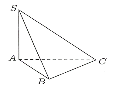 Đ&aacute;p &aacute;n đ&uacute;ng l&agrave;: D (ảnh 1)