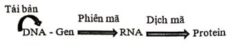 3.1 Thủy đậu là một loại bệnh có mức truyền nhiễm cao gây ra bởi virus Varicella zoster (VZV). Nồng độ kháng thể chống VZV trong máu của một người trong vòng 120 ngày được thể hiện trong Hình 3.1. Nồng độ kháng thể có sự thay đổi rõ rệt trong ngày thứ 30. (ảnh 2)