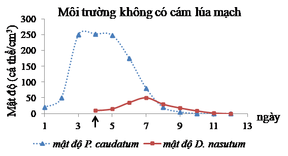 Để nghiên cứu mối quan hệ sinh thái giữa 2 loài Paramecium caudatum và Didinium nasutum, người ta đã nuôi chung 2 loài trong môi trường phù hợp theo hai công thức:  Môi trường nuôi không có cám lúa mạch và Môi trường nuôi có thêm cám lúa mạch (ảnh 1)