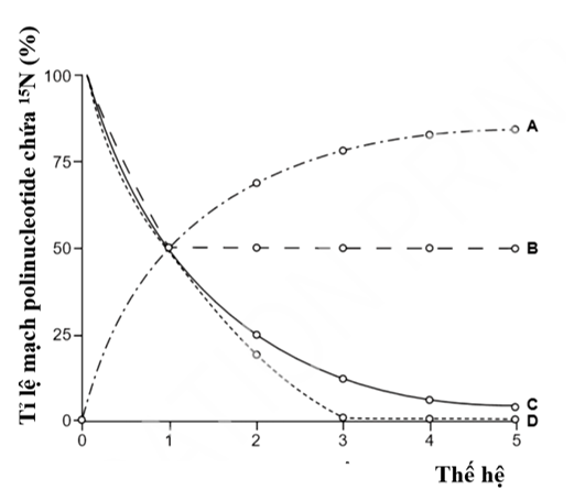Để tìm hiểu về cơ chế tái bản DNA, Matthew Meselson và Franklin Stahl đã thực hiện một thí nghiệm như sau:  Vi khuẩn được nuôi trong môi trường có nitơ nặng (15N) cho đến khi toàn bộ DNA được đánh dấu. (ảnh 1)