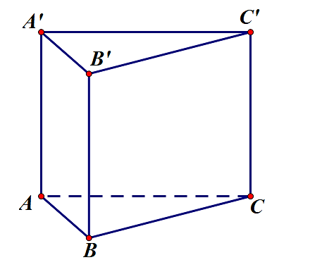 Đ&aacute;p &aacute;n đ&uacute;ng l&agrave;: B Ta c&oacute; \(V = \frac{1}{3}B \cdot h = \frac{1}{3} \cdot 12 \cdot 3 = 12\). (ảnh 1)