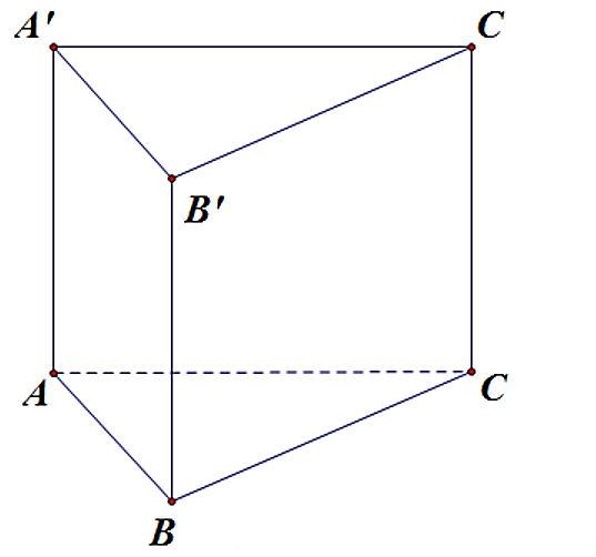Đ&aacute;p &aacute;n đ&uacute;ng l&agrave;: D (ảnh 1)