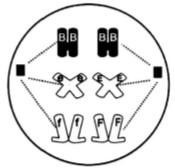 Quan sát một tế bào của 1 loài động vật đang phân bào người ta thu được kết quả như hình 13, các kí hiệu B, e, f là các NST. Một nhóm gồm 5 tế bào sinh dục sơ khai loài trên tiến hành nguyên phân 5 lần. (ảnh 1)