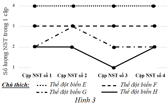 Một loài thực vật có bộ nhiễm sắc thể lưỡng bội 2n = 8. Khi phân tích bộ nhiễm sắc thể của 4 thể đột biến (E, F, G, H) người ta thu được kết quả như biểu đồ ở hình 6. Biết rằng, đột biến chỉ liên quan đến số lượng nhiễm sắc thể. (ảnh 1)