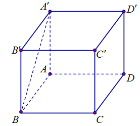 Cho hình lập phương \(ABCD.A'B'C'D'\) (tham khảo hình vẽ).   Góc giữa hai đường thẳng \(BA'\) và \(CD\) bằng 	A. \(45^\circ \).	B. \(60^\circ \).	C. \(30^\circ \). 	D. \(90^\circ \). (ảnh 1)