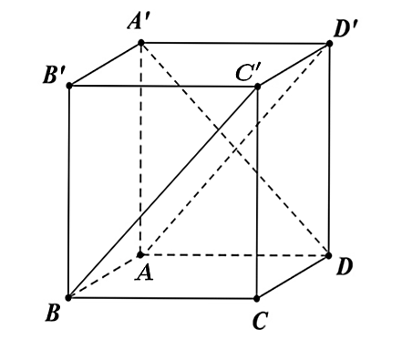 Cho hình lập phương \[ABCD.A'B'C'D'\]. Đường thẳng nào sau đây vuông góc với đường thẳng \[BC'\]?   (ảnh 1)