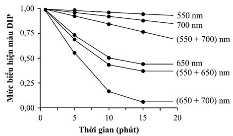 5.1.  Các nhà khoa học đã phân lập được lục lạp nguyên vẹn từ dịch chiết tế bào lá ở thực vật ưa bóng. Họ chuẩn bị 6 ống nghiệm, mỗi ống đều chứa cùng một số lượng lục lạp và một chất oxy hóa màu xanh lam dicloindophenol (DIP) (ảnh 1)