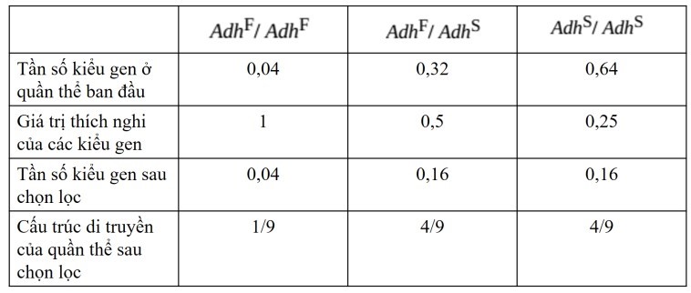 Cồn là chất thường có trong trái cây thối, nơi ấu trùng ruồi giấm phát triển và phát triển; ấu trùng sử dụng enzyme Alcohol dehydrogenease (ADH) để giải độc rượu. Ở một số quần thể ruồi đục quả ngẫu phối, hai allele có mặt ở locus mã hóa ADH: AdhF (ảnh 2)