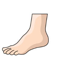 Complete and write the words. _oot ……………….. (ảnh 1)