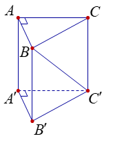 Chọn A Ta có \(SA \bot \left( {ABCD} \right)\) nên \(SA \bot CD\), \(SA \bot BD\) và \(SA \bot BC\). (ảnh 1)