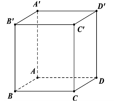 Cho hình lập phương \(ABCD.A'BC'D'\). Hai đường thẳng vuông góc với nhau là 	 (ảnh 1)