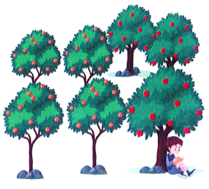 Vườn cây ăn quả nhà Nam có 19 cây táo và cam, trong đó có 7 cây táo. Hỏi vườn cây ăn quả nhà Nam có bao nhiêu cây cam? (1 điểm) Phép tính: …………………………………………………………….. Trả lời: Vườn cây ăn quả nhà Nam có ……… cây cam. (ảnh 1)