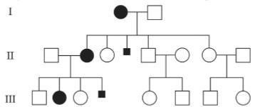 Những người bị loạn sắc tố hình thành kiểu hình da bị mất sắc tố đặc trưng và một vài vấn đề khác như mất nơron, chậm phát triển vận động, nhược cơ, thoái hóa thần kinh, tai biến và các vấn đề về thị giác hoặc răng. (ảnh 1)