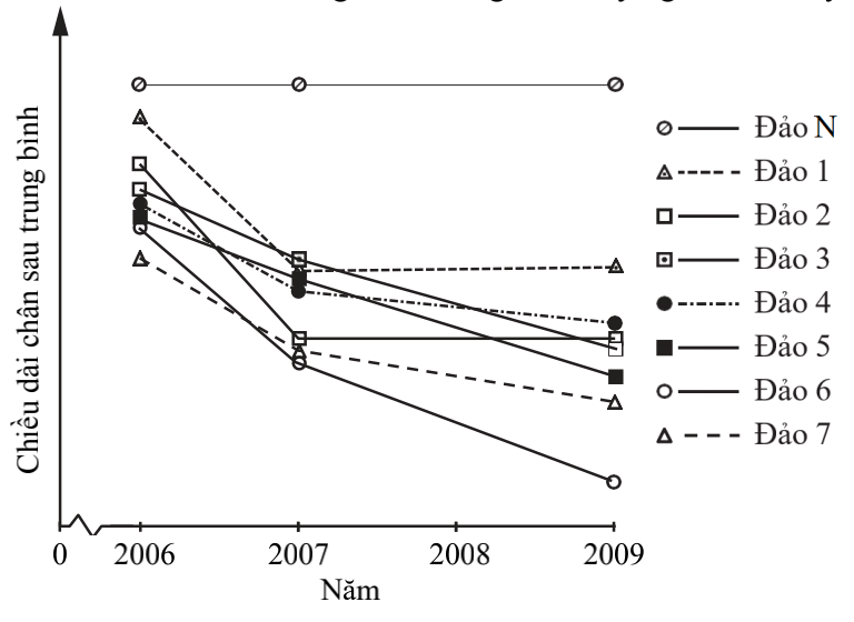 Ở thằn lằn nâu Anolis sagrei, có mối liên quan mật thiết giữa độ dài chân sau và đường kính cành cây: chân sau dài giúp chúng chạy nhanh qua các tán cây lớn và chân sau ngắn giúp ổn định trên những tán cây nhỏ hơn. (ảnh 1)