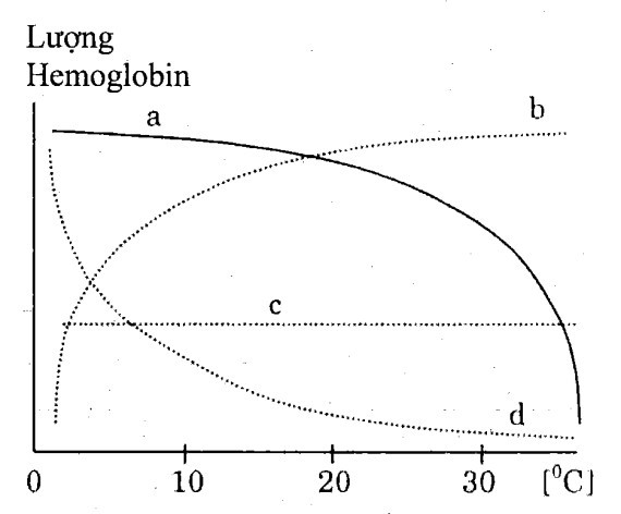 a)  Lượng Hemoglobin trong máu của động vật có xương sống ở nước phụ thuộc vào nhiệt độ của nước nơi chúng sinh sống. Đường cong nào của đồ thị trong hình 8 mô tả đúng sự biến đổi này? Giải thích. (ảnh 1)