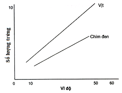 Đồ thị bên cho biết số lượng trứng được đẻ ra bởi 2 loài vịt và chim đen ở các môi trường có vĩ độ khác nhau. (ảnh 1)