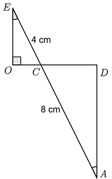 Cho hình vẽ bên, biết \(EC = 4\,\,{\rm{cm}};\,\,\,AC = 8\,\,{\rm{cm}}{\rm{.}}\) Hỏi diện tích \(\Delta ACD\) gấp bao nhiêu lần diện tích tích \(\Delta OCE?\) (ảnh 1)
