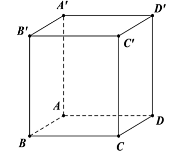 Cho hình lập phương \(ABCD.A'B'C'D'\) (như hình vẽ dưới). Đường thẳng \(AC\) vuông góc với mặt phẳng nào sau đây? (ảnh 1)