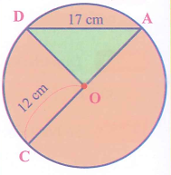 Quan sát hình vẽ và điền vào chỗ trống cho thích hợp: (1 điểm)     - OA, OC, OD là các ………….. của hình tròn tâm O.  - Điểm O là trung điểm của đoạn thẳng …….. (ảnh 1)