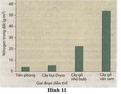 Nghiên cứu quá trình diễn thế ở một vùng sau khi băng tan người ta thấy như sau: sau khi băng tan đất trống hầu như có pH từ khoảng 8,0 đến 8,4 tùy thuộc vào hàm lượng cacbon có trong đá và diễn thế sinh thái xảy ra như hình 11. (ảnh 1)