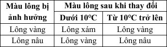 Tính trạng màu sắc lông của một loài chó được mô tả bằng sơ đồ sinh hóa dưới đây: (ảnh 2)
