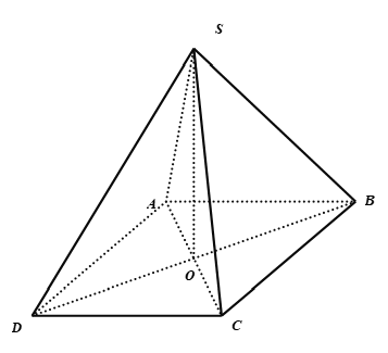 Đáp án đúng là: D (ảnh 1)