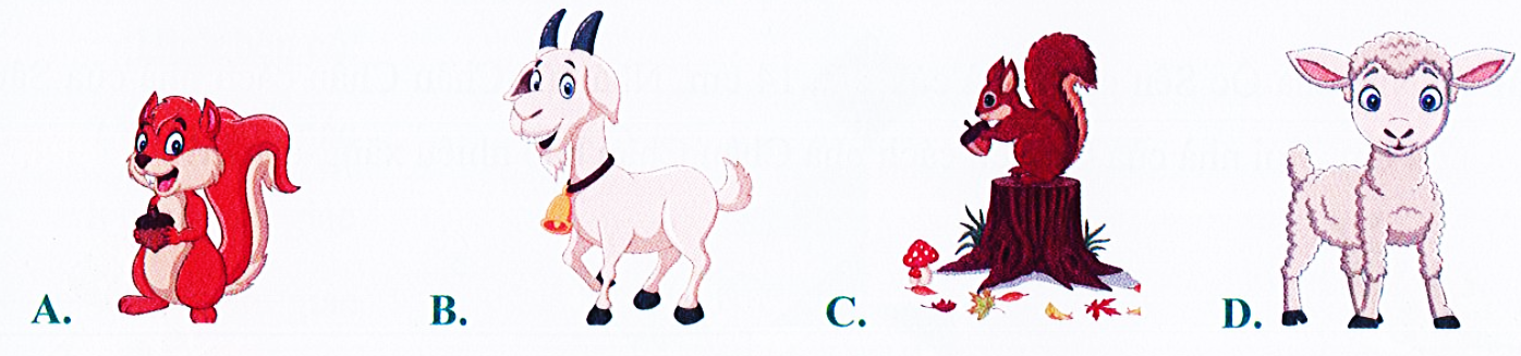 Trong hình dưới đây, con vật thấp nhất là (ảnh 1)