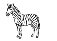 Complete and write the words. _ ebra ……………….. (ảnh 1)