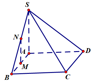 Đ&aacute;p &aacute;n đ&uacute;ng l&agrave;: D (ảnh 1)