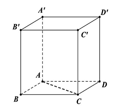 Cho hình lập phương \(ABCD.A'B'C'D'\). Góc giữa hai đường thẳng \(AC\) và \(AA'\) là góc nào sau đây? (ảnh 1)