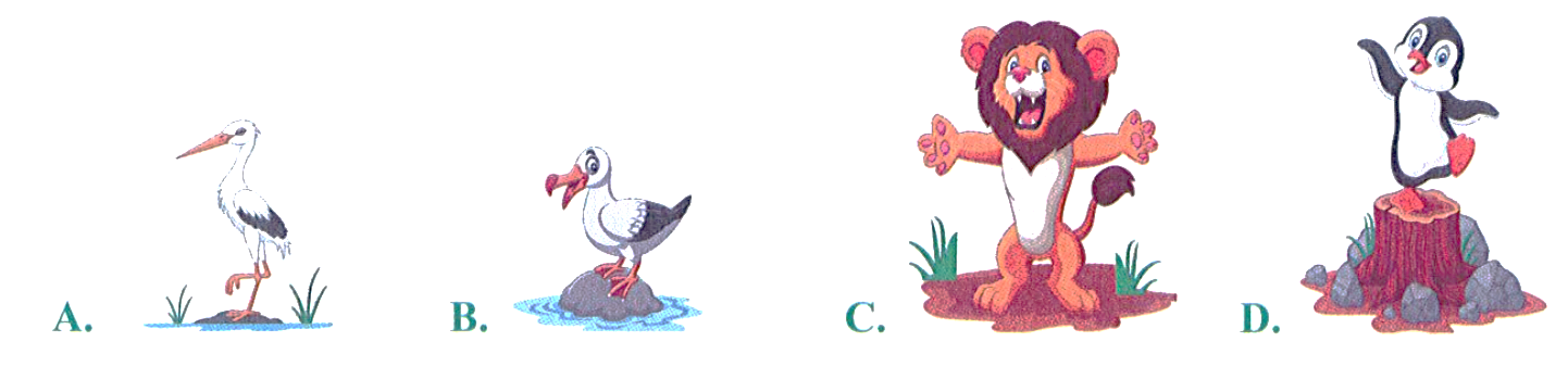 Trong hình dưới đây, con vật cao nhất là: (ảnh 1)