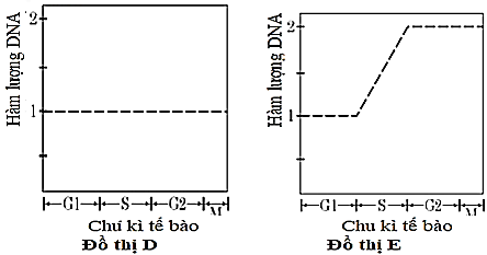 3.2. Đồ thị nào trong các đồ thị A→ E dưới đây phản ánh sự thay đổi hàm lượng DNA tương đối của bào quan ti thể khi một tế bào trải qua phân chia nguyên phân? Giải thích. (ảnh 1)