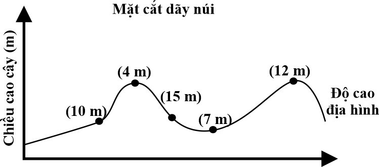 Một nhóm sinh viên đã đưa ra giả thuyết “chiều cao của cây giảm khi độ cao địa hình tăng lên”. Để kiểm chứng giả thuyết, họ trồng 10 cành cây từ cùng một cây tại 5 vị trí khác nhau trên cùng một dãy núi ở các độ cao khác nhau. (ảnh 1)