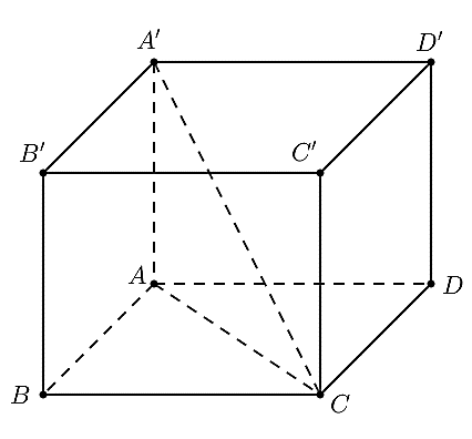Đ&aacute;p &aacute;n đ&uacute;ng l&agrave;: A (ảnh 1)