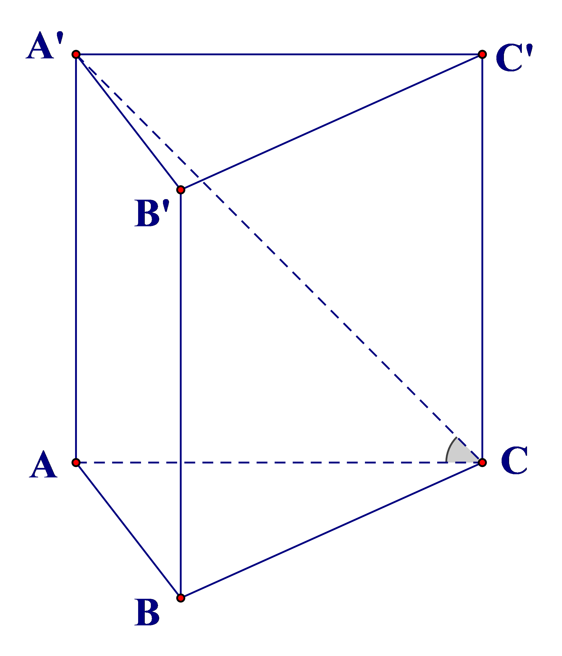 Cho lăng trụ đứng \(ABC.A'B'C'\) (ảnh 1)