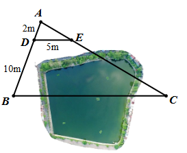 Giữa hai điểm \(B\) và \(C\) có một (ảnh 1)