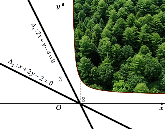 Mảnh đất vườn của nhà anh Điệp có một phầ (ảnh 1)