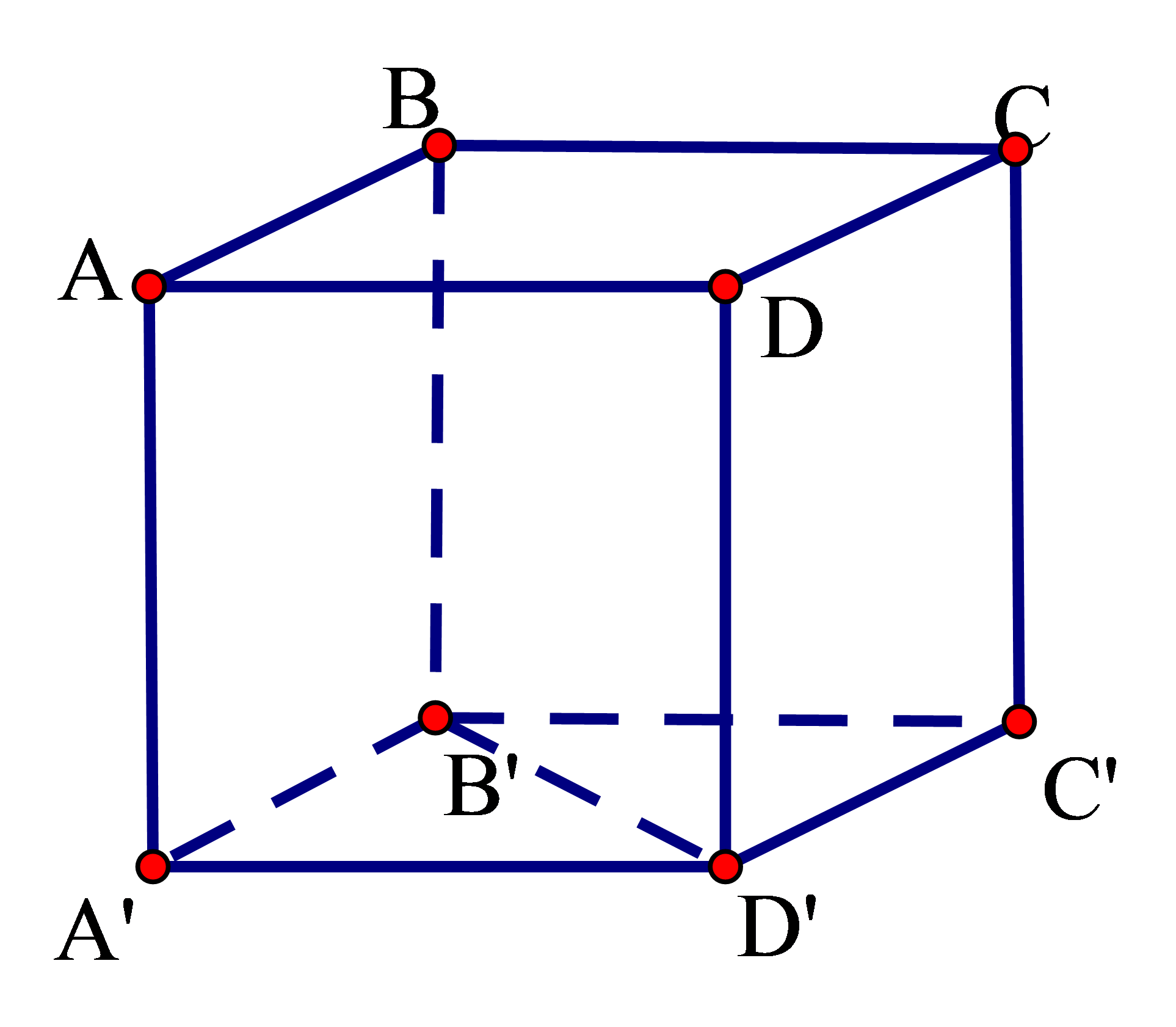 Cho hình lập phương \(ABCD.A'B'C'D'\). Góc giữa hai đường thẳng \(B'D'\) và \(A'A\) bằng 	 (ảnh 1)