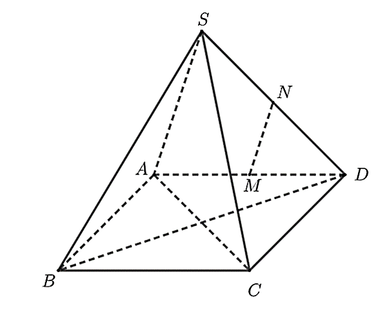 Đáp án đúng là: D (ảnh 1)