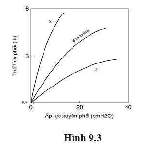 Độ giãn nở của phổi là khả năng dễ dàng mà phổi có thể giãn ra và được tính bằng sự thay đổi thể tích trên sự thay đổi áp suất (ΔV/ΔP), chính là độ dốc của đường cong áp suất - thể tích của phổi. (ảnh 1)