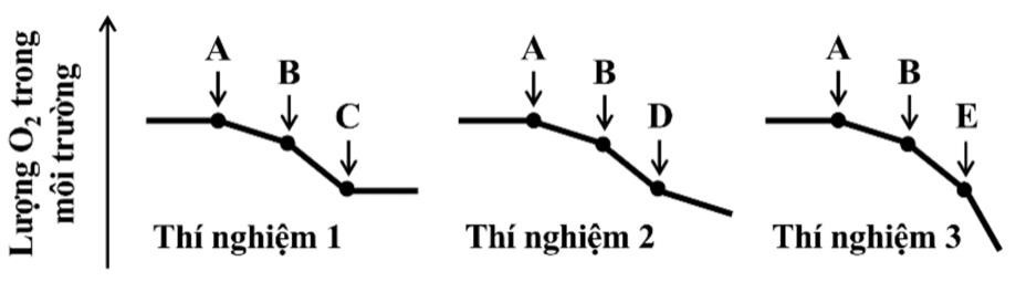Trong một thí nghiệm được tiến hành để tìm hiểu về quá trình tổng hợp ATP ở ti thể, người ta chuẩn bị các môi trường thí nghiệm (1, 2 và 3) giống bào tương của tế bào  (ảnh 1)