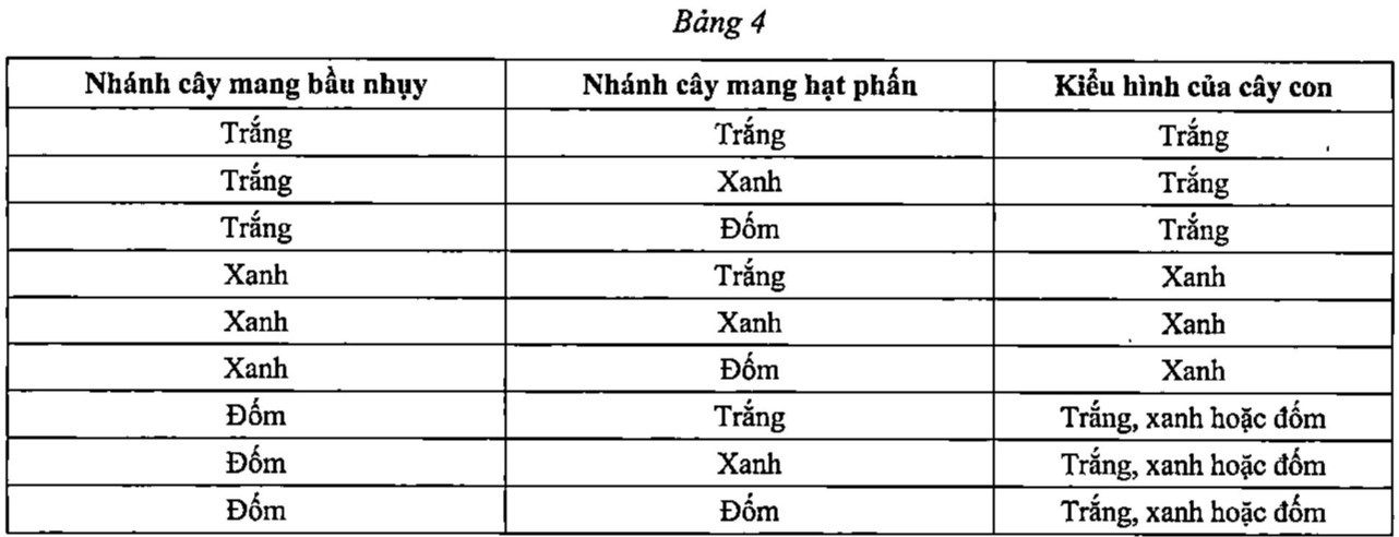 Cây hoa phấn (Mirabilis Jalapa) có các đốm lá xanh và trắng xen kẽ nhau. Một thí nghiệm lai đã được thực hiện giữa những bông hoa trên cành màu xanh, cành màu trắng hoặc cành đốm với hạt phấn từ các cành màu xanh (ảnh 1)