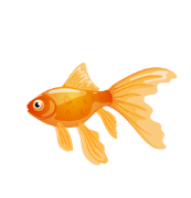 Complete and write the words. g _ ldfish ________________ (ảnh 1)