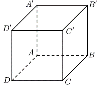 Cho hình hộp chữ nhật \(ABCD.A'B'C'D'\) (tham khảo hình vẽ). Đường vuông góc chung của \(AD\) và \(C'D'\) đi qua hai điểm nào sau đây? A. \(D\) và \(D'\). B. \(A\) và \(C'\). C. \(A\) và \(D'\). D. \(A\) và \(A'\). (ảnh 1)