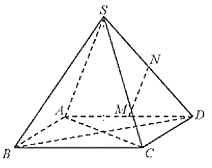 Đ&aacute;p &aacute;n đ&uacute;ng l&agrave;: D (ảnh 1)